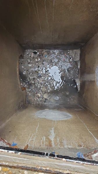 Illustration : Regard