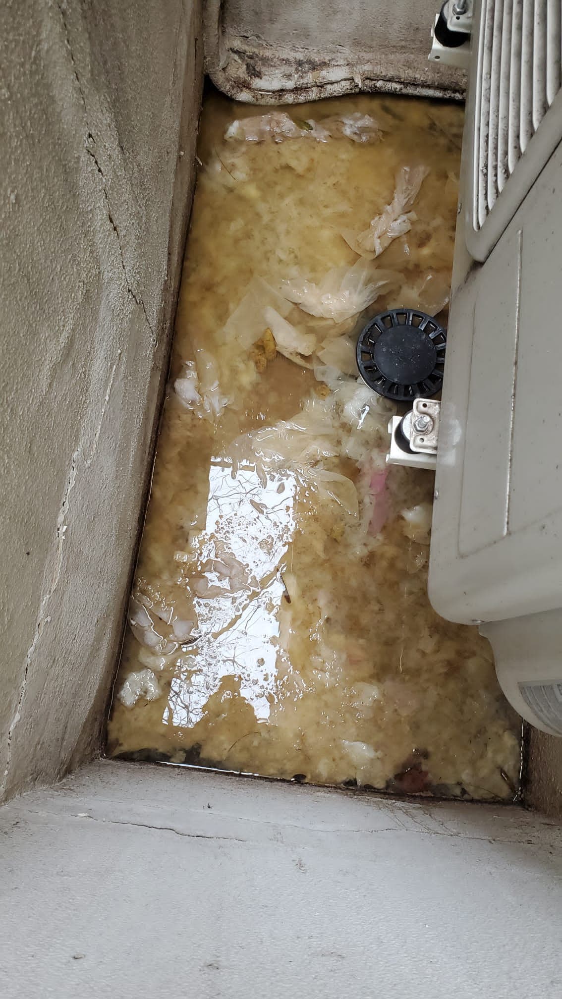 Illustration : Siphon