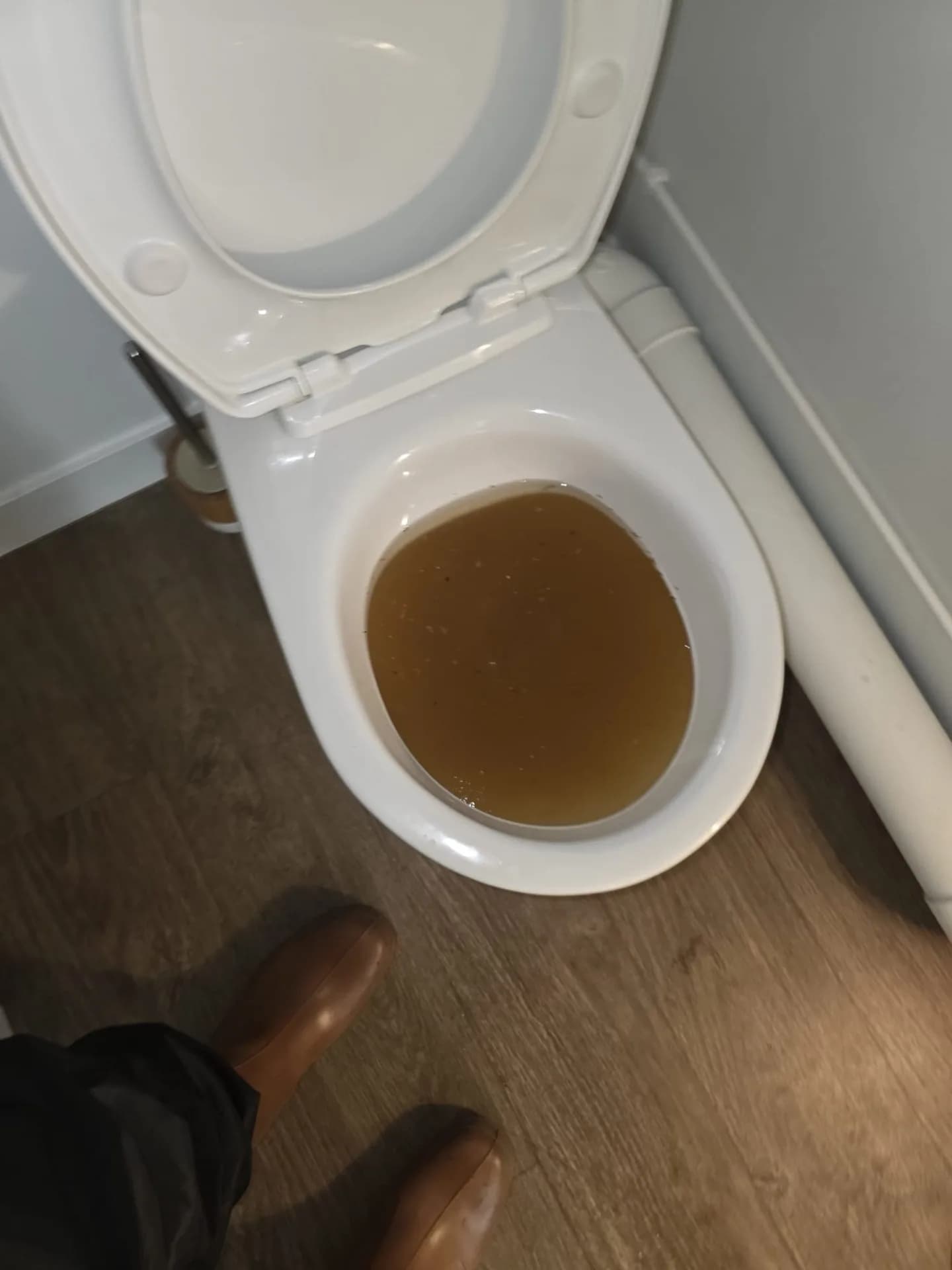 Débouchage WC à Cergy — avant