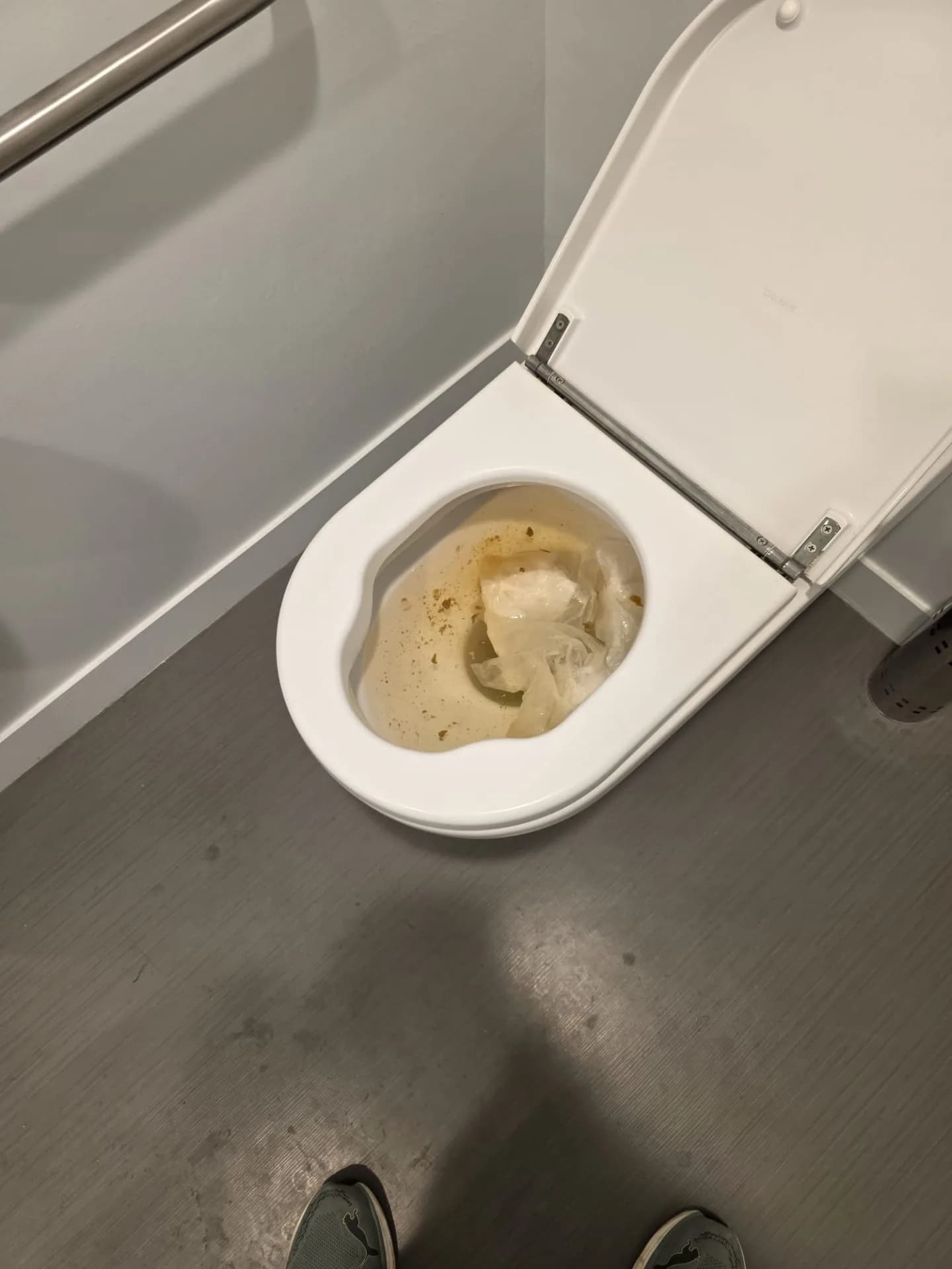 Débouchage WC à Massy — avant