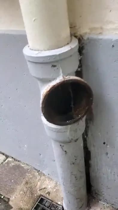 Débouchage colonne d'immeuble professionnel - Aprime Fluides