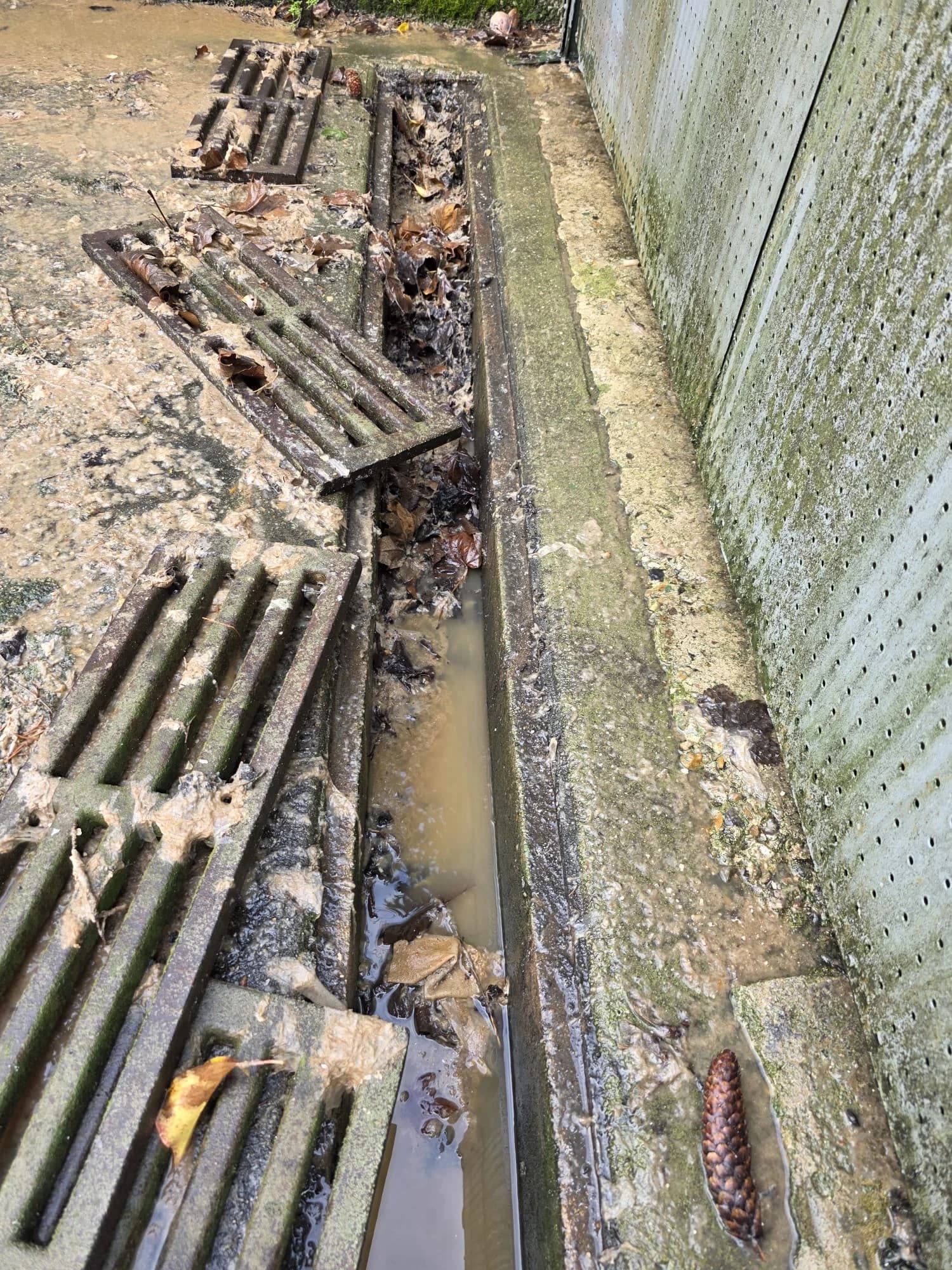 Avaloir de cour obstrué par les feuilles et les boues à Taverny (95), eau stagnante avant hydrocurage