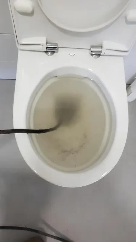 Cuvette WC bouchée à Sannois (95), eau haute stagnante après un Destop resté sans effet