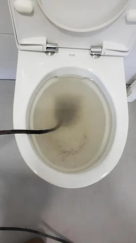 WC bouché à Cormeilles-en-Parisis Bois Rochefort — avant débouchage