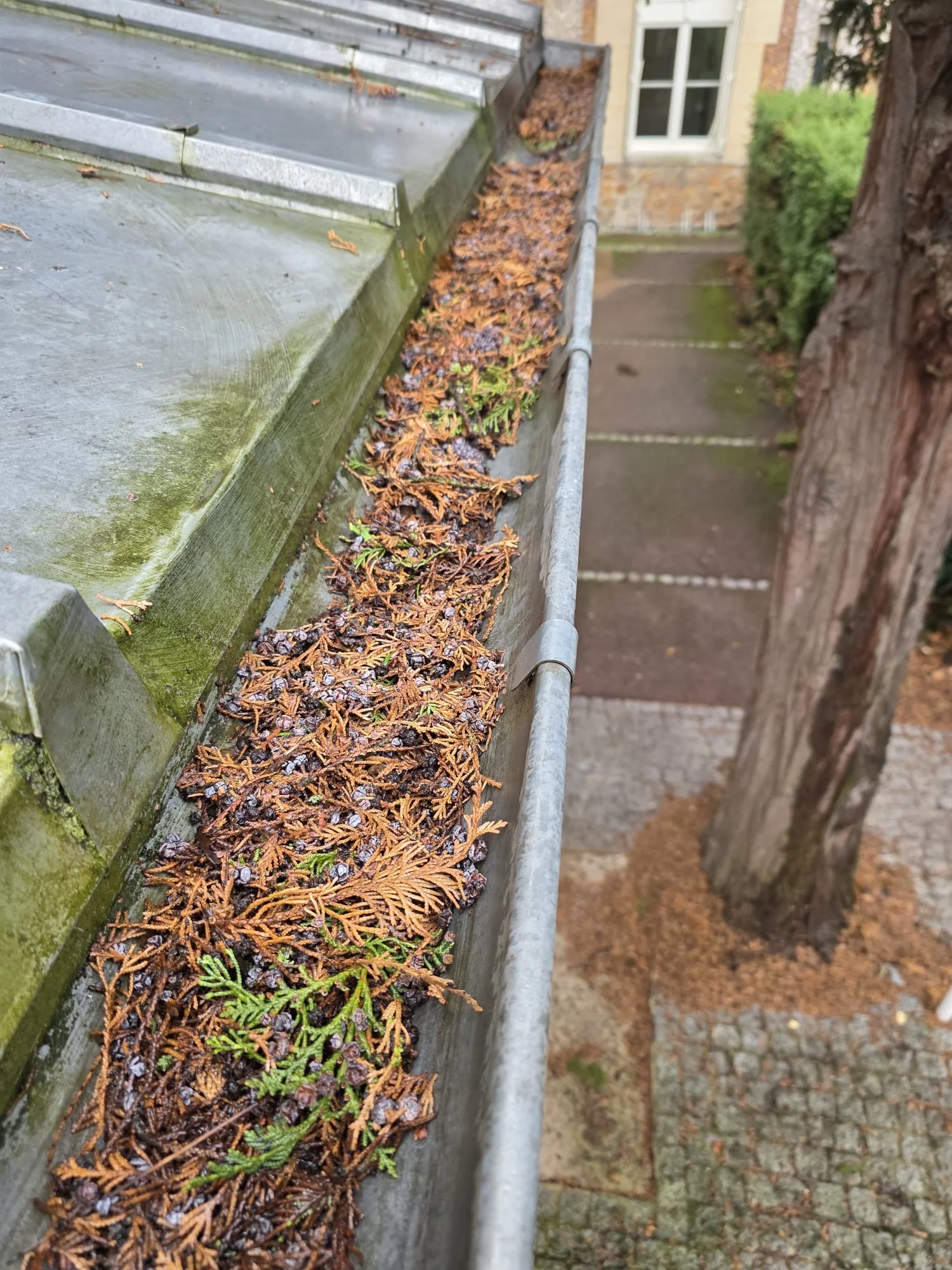 Avant intervention Curage / hydrocurage à Houilles