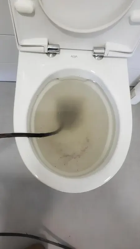 Avant intervention Débouchage WC & toilettes à Sannois