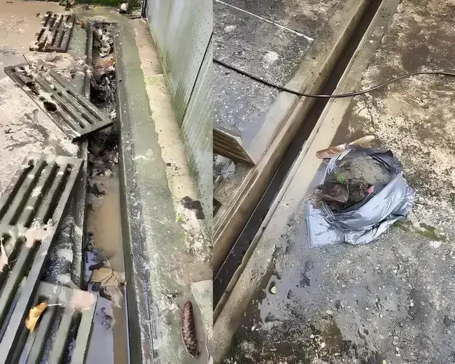 Nettoyage et Débouchage de Caniveau  Résultat Avant Après — Débouchage canalisation à Île-de-France · Aprime Fluides Île-de-France