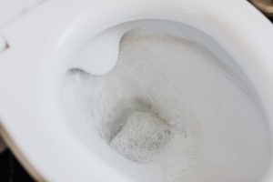 toilette bouchee